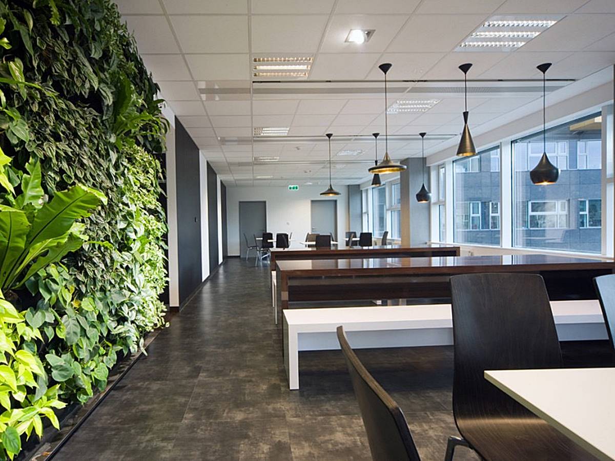Văn phòng trọn gói Elite Coworking Space • Đặng Văn Ngữ, 1 Đặng Văn Sâm, Phường 9, Quận Phú Nhuận - Vlook.vn